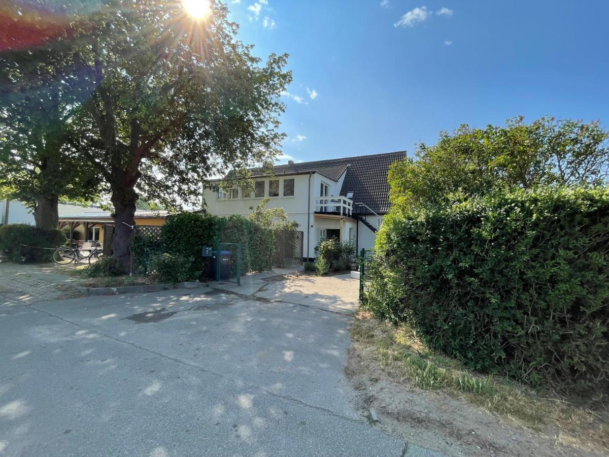 Duenenmeer Ferienwohnung Ostseebad Kühlungsborn Eksteriør billede